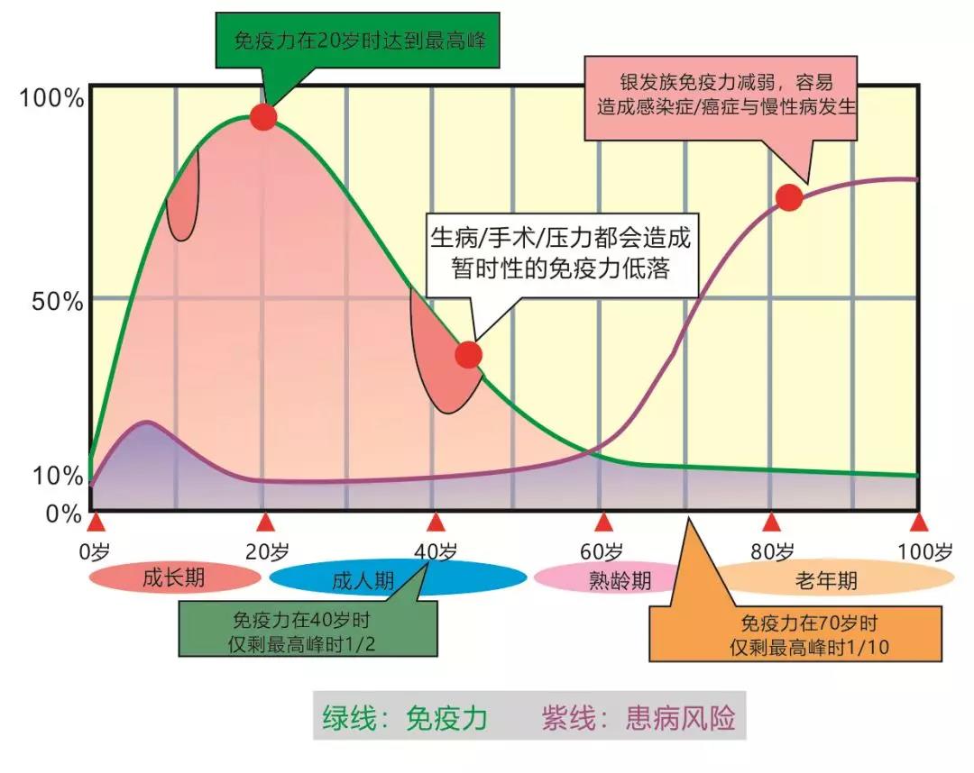 金花抗疫情:哪些人群要关注自身免疫力 金花抗疫情:哪些人群要关注自身免疫力