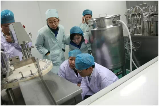 金花股份全面进行新版GMP认证自检 金花股份全面进行新版GMP认证自检